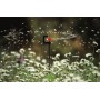 GARDENA Micro-Drip-system rotační rozprašovací zavlažovač 360° (1369)